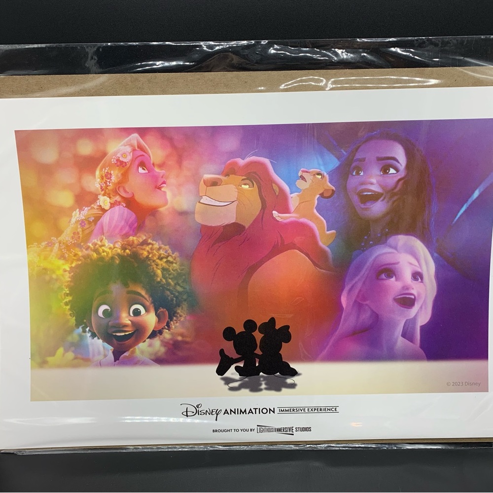 Disney Animation Immersive Experience Print Poster 2023 Lion King Encanto Frozen